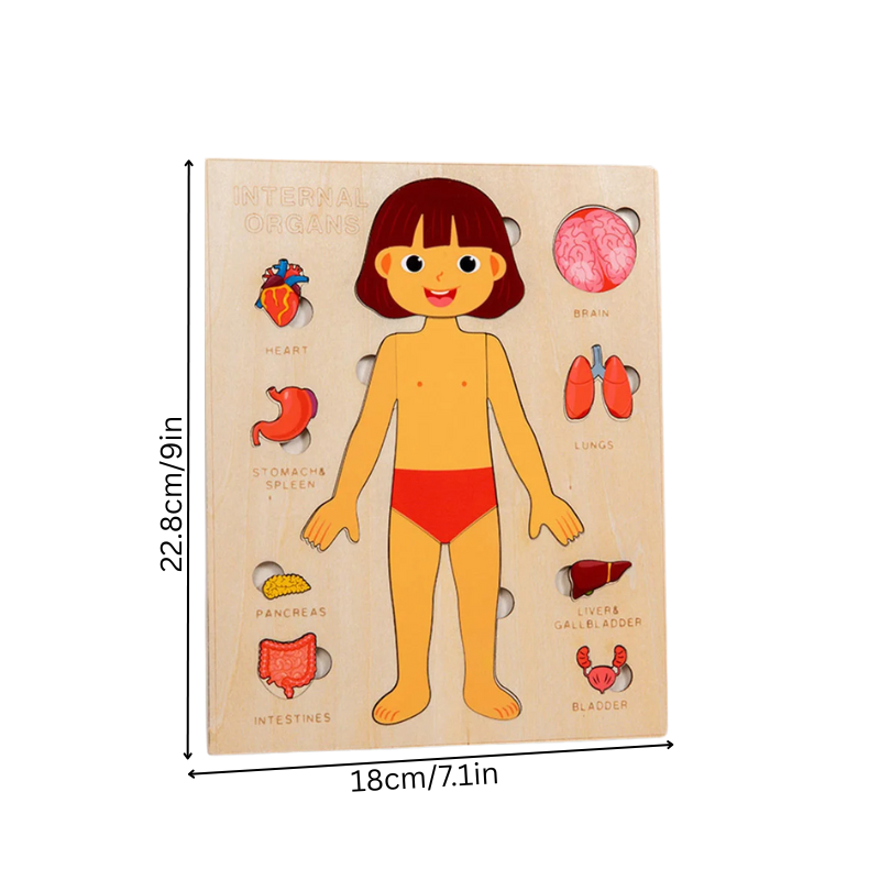 Anatomiq