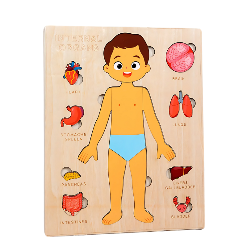 Anatomiq