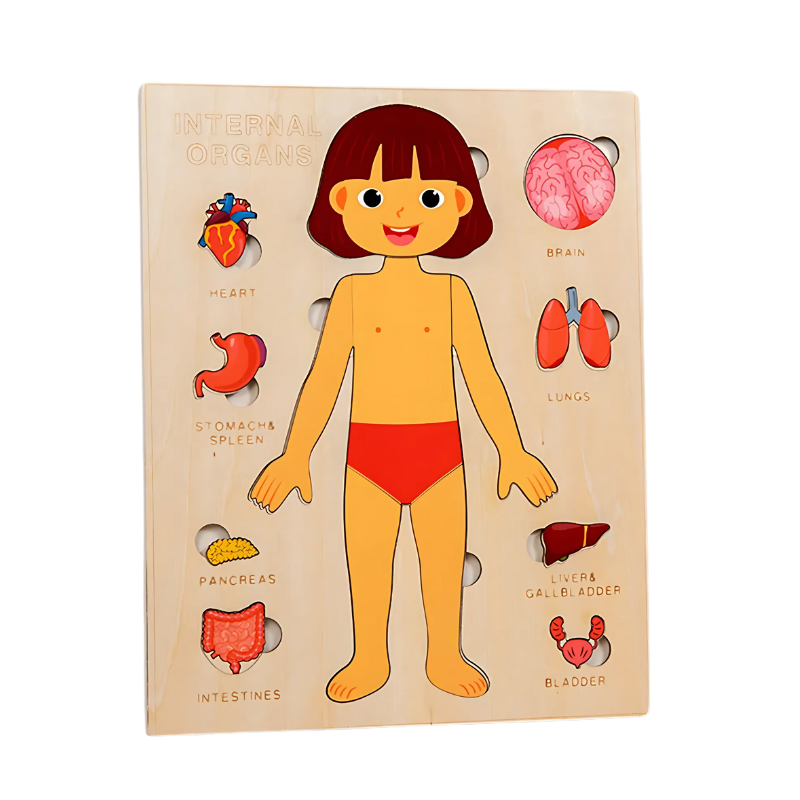 Anatomiq