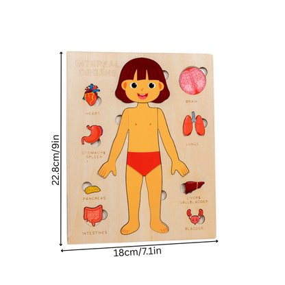 Anatomiq
