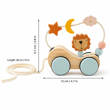 LionDrive