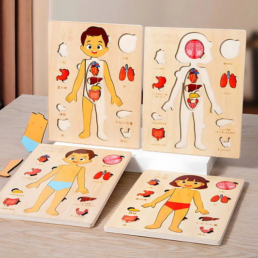 Anatomiq