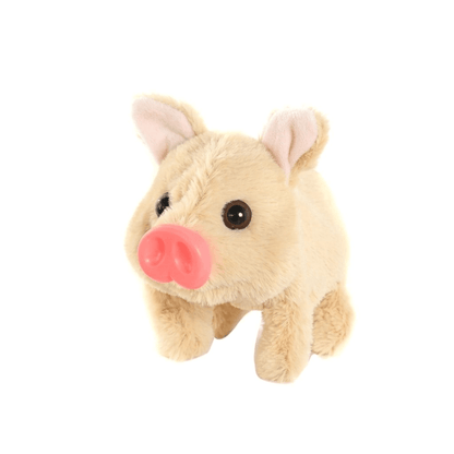 PigglePop