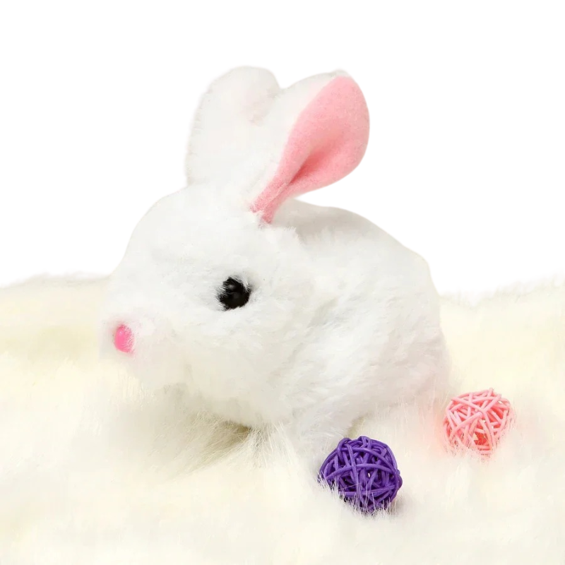 Bunzo